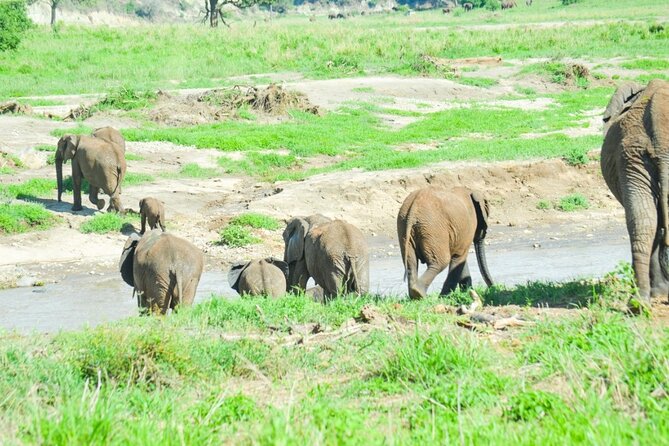 2 days Tour Tarangire & Ngorongoro - Meals, camping gear, and the included water that keeps you sane