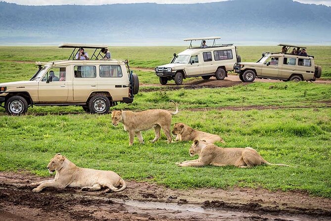 2 days Tour Tarangire & Ngorongoro - Timing, group size, and how the vehicle hours feel
