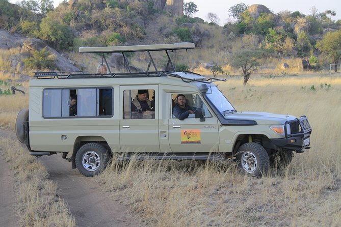 2 Days Wildlife game drives Through Tarangire and Ngorongoro Crater - Getting going from Arusha without wasting time
