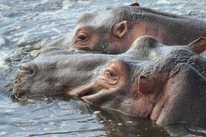 2 Days Wildlife game drives Through Tarangire and Ngorongoro Crater - Evening at Fanaka Campsite: the part most people underestimate