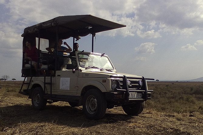 2 Days Wildlife Safari in Mikumi National Park - Key highlights you should care about