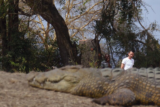 2 Days Wildlife Safari in Mikumi National Park - Private guides in Mikumi, from Majenda to Benson