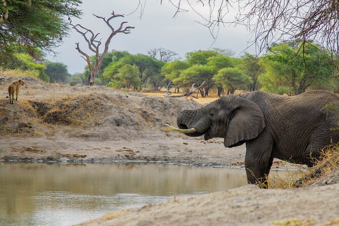 3-Day / 2 Nights Group Safari Serengeti & Ngorongoro Crater - Guides, small group pacing, and the little extras that matter