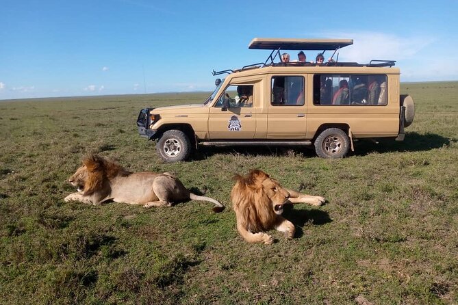 3-Day Camping Safari Tarangire, Lake Manyara & Ngorongoro crater - Day 1 Lake Manyara National Park: Forest Shadows, Tree-Climbing Lions