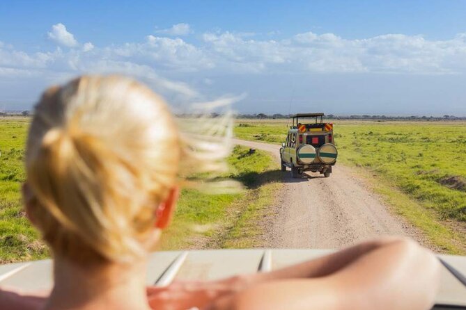 3 Day Classic, Guided Serengeti Safari - Day 2: the full-day game drive, picnic lunch, and your best odds