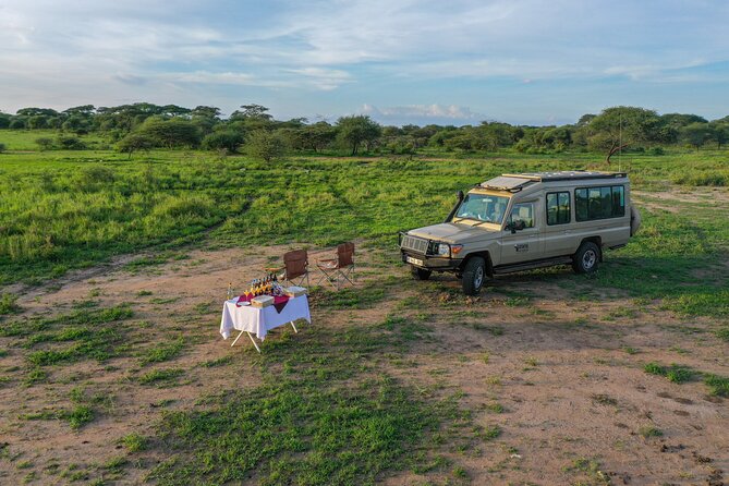 3-Day Classic Serengeti Safari - Transport, meals, and bottled water: small details that save your energy