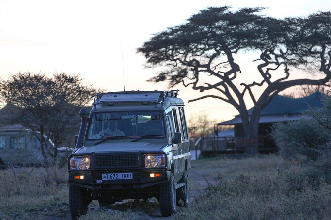 3-Day Classic Serengeti Safari - Day 1 in Serengeti: your first game drive after pickup