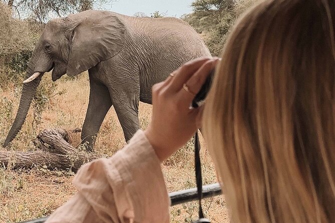 3-Day Manyara, Tarangire and Ngorongoro Crater - Key highlights before you go