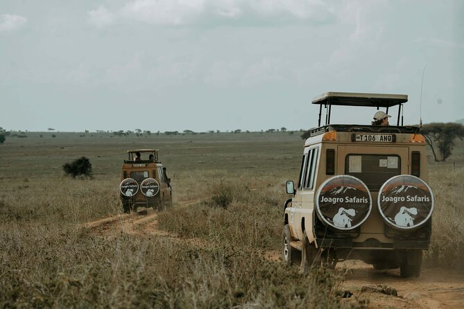 3-Day Manyara, Tarangire and Ngorongoro Crater - Guides and smooth decision-making on the ground