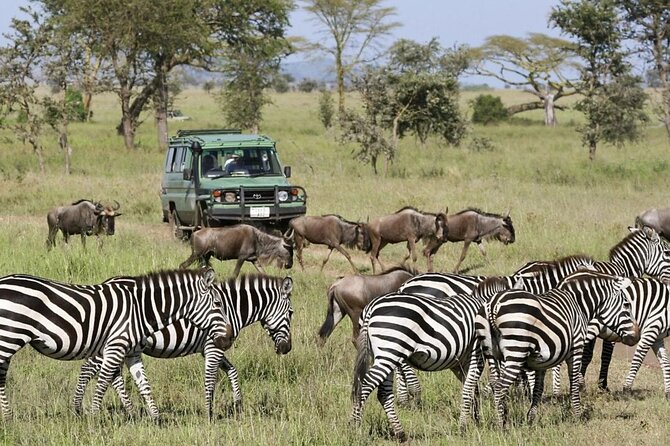 3-Day Ngorongoro Crater Manyara and Tarangire Safari from Arusha - Why This 3-Day Safari Works (Key Points)