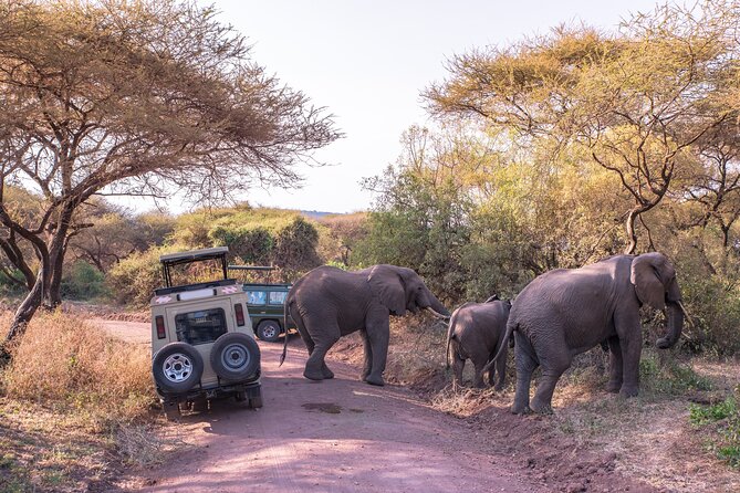 3-Day Private Safari to Lake Manyara, Tarangire & Ngorongoro - Three parks, one private rhythm: how the schedule really works