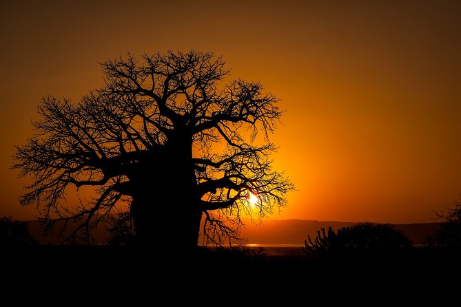 3-Day Private Safari to Lake Manyara, Tarangire & Ngorongoro - Evening game drive versus relaxing time: your Day 2 decision