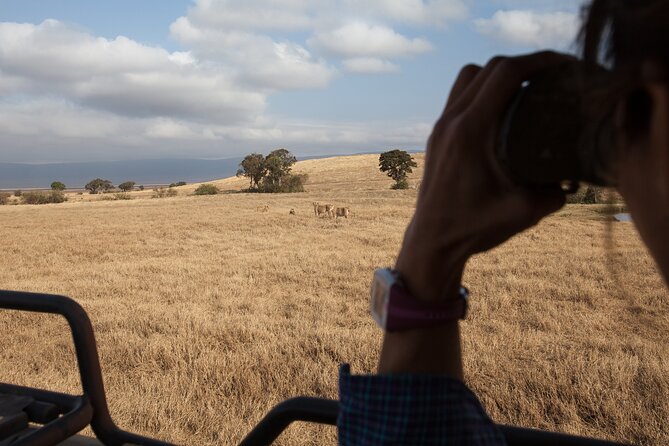 3 Day Private Serengeti Safari Tour with One Way Flight - Lodging along the way, from Serengeti glamping to Farm of Dreams