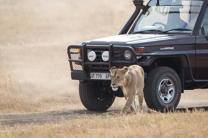 3 Day Private Serengeti Safari Tour with One Way Flight - Who this safari suits best, and who should think twice