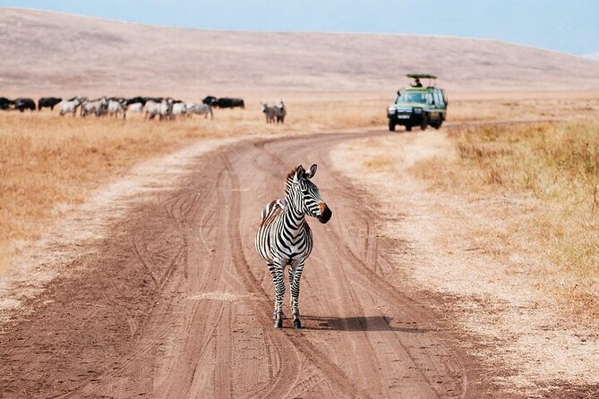 3 Day Safari Expedition from Arusha - Panorama Safari Camp Overnight: Practical Comfort After Long Drives