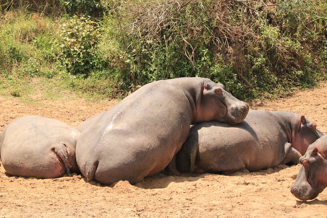 3-Day Safari in Serengeti & Ngorongoro(Mid-range) - FAQ