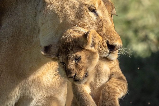 3-Day Safari to Ngorongoro, Tarangire & Lake Manyara NP - Three Parks in Three Days, and Why It Works