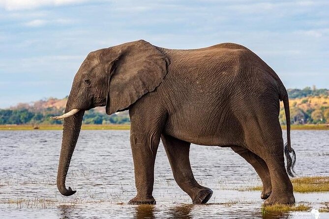 3 Day Safari to Serengeti National Park and Ngorongoro Crater - Serengeti and Ngorongoro in 3 Days: What Makes This Loop Work