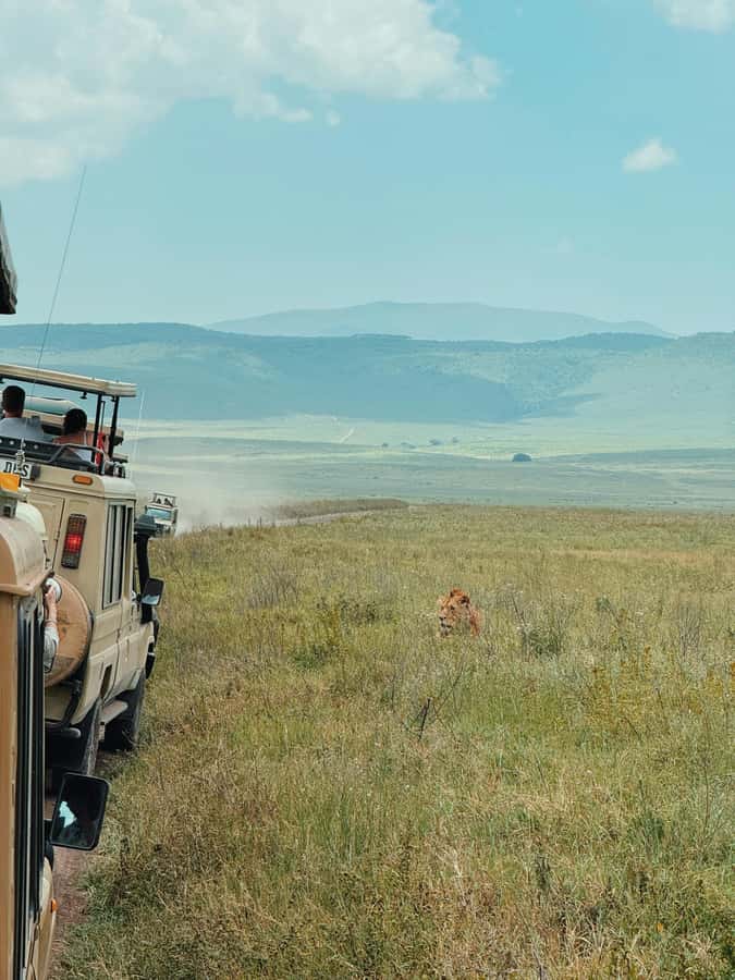 3-Day Safari to Serengeti & Ngorongoro + Balloon experience - Serengeti plus Ngorongoro, with one day built for the sky
