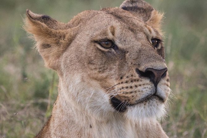 3-Day Selous Reserve mid-Range Safari - Quick Highlights