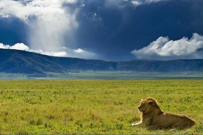 3 Day Sharing Safari - Manyara, Ngorongoro Crater and Tarangire National Parks - Key highlights