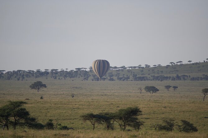3 Day Sharing Safari - Manyara, Ngorongoro Crater and Tarangire National Parks - Day 2 in Ngorongoro Crater: A Volcano Bowl Full of Wildlife