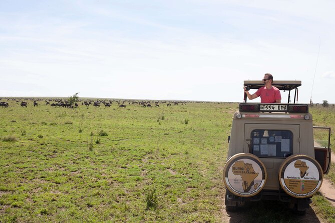 3-Day Tanzania Group Safari-Tarangire, Ngorongoro & Lake Manyara - Manyara Safari Lodge, and why “mid-range” can be the sweet spot