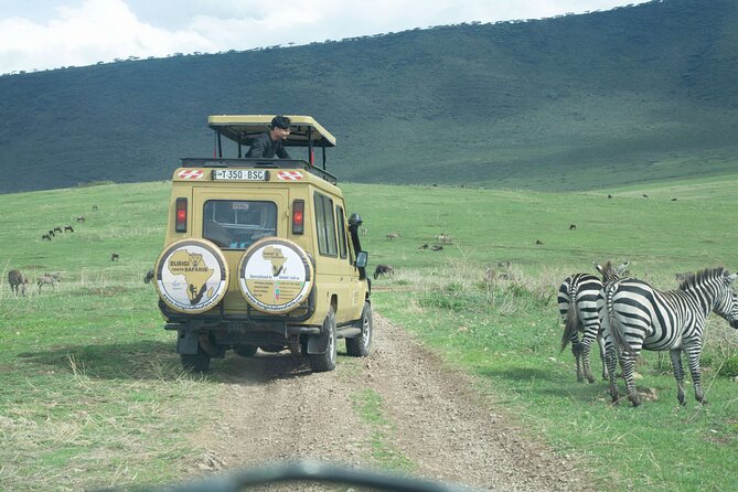 3-Day Tanzania Group Safari-Tarangire, Ngorongoro & Lake Manyara - Group safari reality check: pace, guides, and tips
