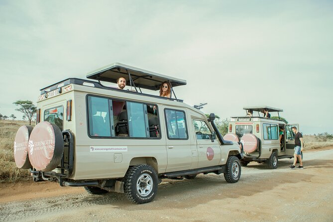 3 Day Tanzania Luxury Safari - Day 1 Tarangire National Park: Elephants, Baobabs, and a Park Picnic