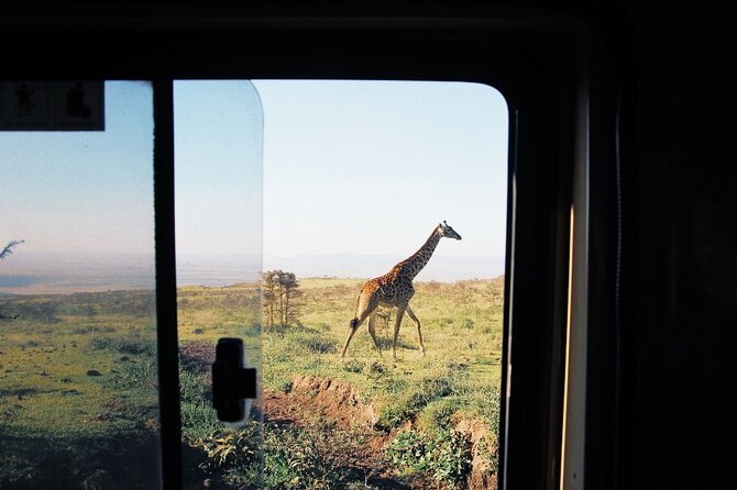 3-Day Tarangire, Lake Manyara and Ngorongoro - Day 1: Tarangire National Park for Elephant Country and Full-Plate Game Drives