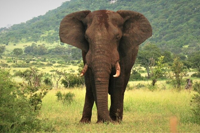 3-Day Tarangire, Lake Manyara and Ngorongoro - Who This Safari Fits Best (And Who Might Want Something Else)