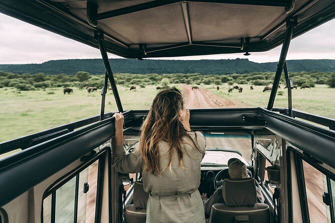 3-Day Tarangire, Ngorongoro and Lake Manyara Camping Safari - Day 1 in Tarangire National Park: elephants, baobabs, and real savannah time