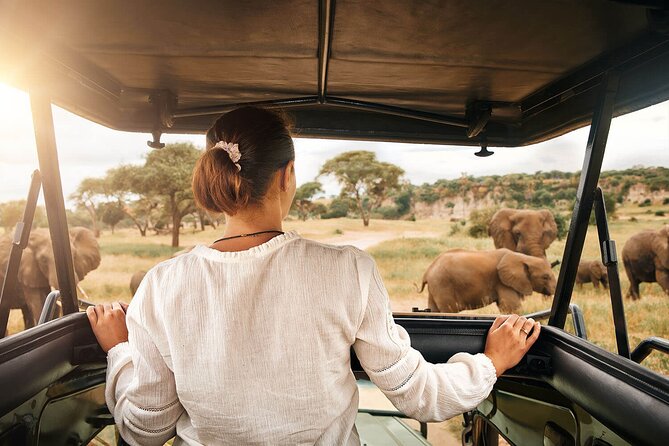 3-Day Tarangire, Ngorongoro and Lake Manyara Camping Safari - Guides and spotting skills: why names like Rafael, Rocky, and Isidor come up