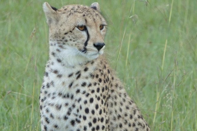 3 Day - Tarangire, Ngorongoro Crater Lake Manyara- Mid - Range - Lake Manyara National Park: acacia scenery and the baboon and blue monkey angle