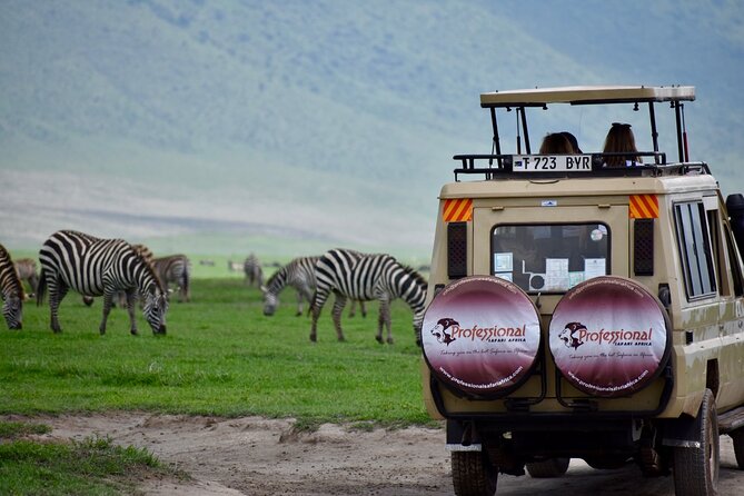 3 Day - Tarangire, Ngorongoro Crater Lake Manyara- Mid - Range - Guides and small-group dynamics: why max 6 can change everything