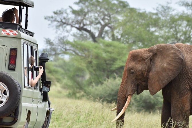3 Day - Tarangire, Ngorongoro Crater Lake Manyara- Mid - Range - Tarangire National Park: elephants, lions, and that first real safari rush