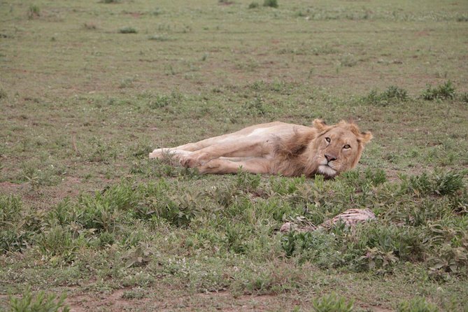 3-Day Tarangire NP, Manyara NP & Ngorongoro Crater - Guide, food, and camping details that make a short safari feel cared for