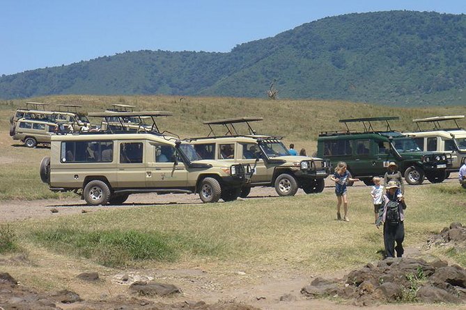 3-Day Taste of Tanzania Safari (Tarangire National park and Ngorongoro Crater) - Day 1 from Arusha to Tarangire: elephants, baobabs, and river life