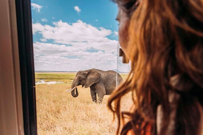 3-Day Taste of Tanzania Safari (Tarangire National park and Ngorongoro Crater) - About the Big Five in Ngorongoro, and managing expectations