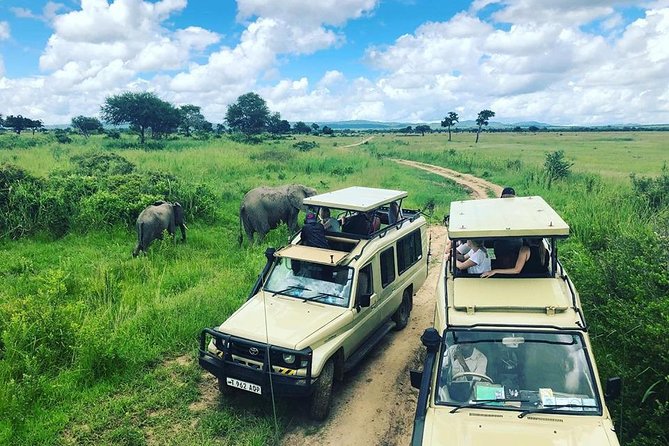 3 Days 2 Nights Adventures At Mikumi National Park - Key Things I’d Watch For