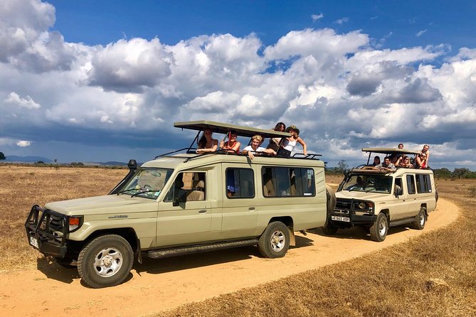3 Days 2 Nights Adventures At Mikumi National Park - What Included Logistics Mean for Your Comfort