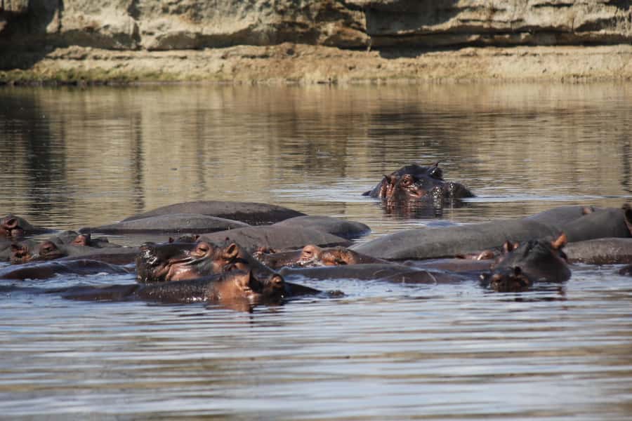 3 Days 2 Nights Amazing Masai Tour & Mikumi National Park - Price and value: what $680 covers and when it feels worth it