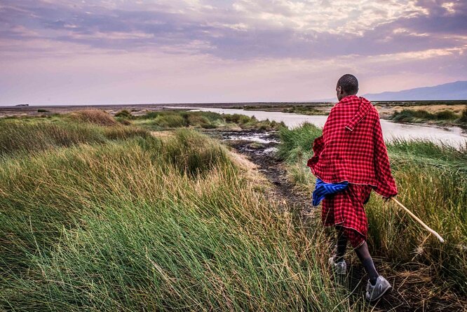 3 Days 2 Nights Group Joining Serengeti and Ngorogoro Safari - Your Open-Roof 4x4, Seats, and the Guide Who Pushes for Sightings