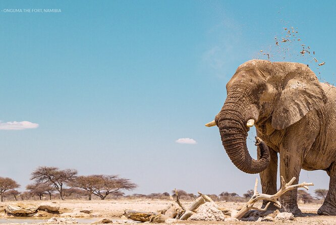 3 Days 2 Nights Group Joining Serengeti and Ngorogoro Safari - Meals, Chef-Cooked Comfort, and Camping Gear (Read This If You Hate Cold Showers)