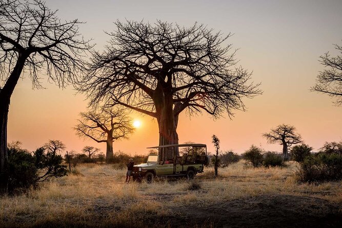 3 Days 2 Nights Group Joining Serengeti and Ngorogoro Safari - Price and Value: What $900 Covers in Serengeti and Ngorongoro