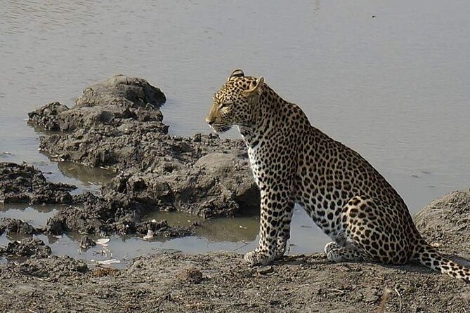 3 Days 2 Nights Mikumi National Park from Dar es salaam road trip - Guides make it work: Edward, Hamis, Frederic, Fred, Santiago, and Patrick