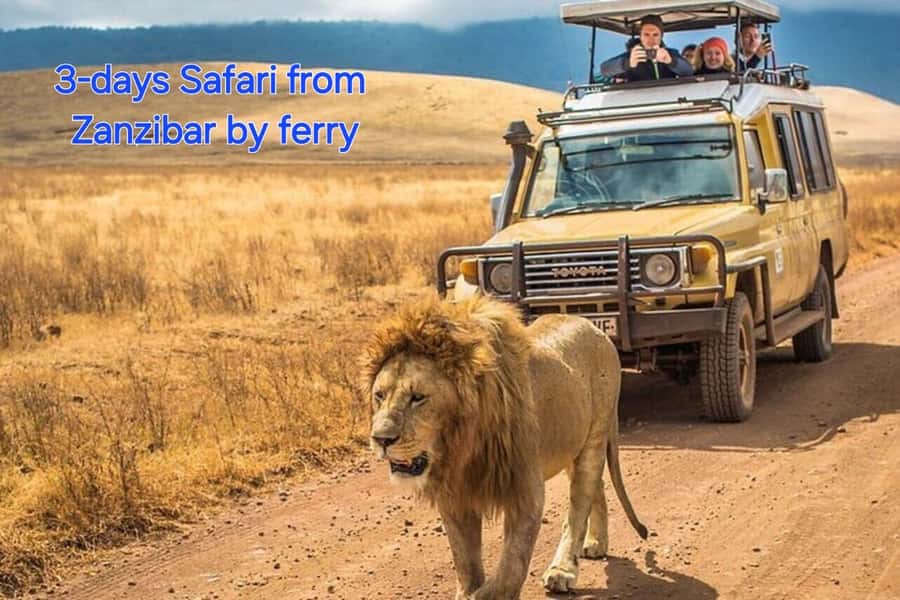 3 DAYS, 2 NIGHTS SAFARI FROM ZANZIBAR TO MIKUMI BY FERRY. - Key things I’d plan around