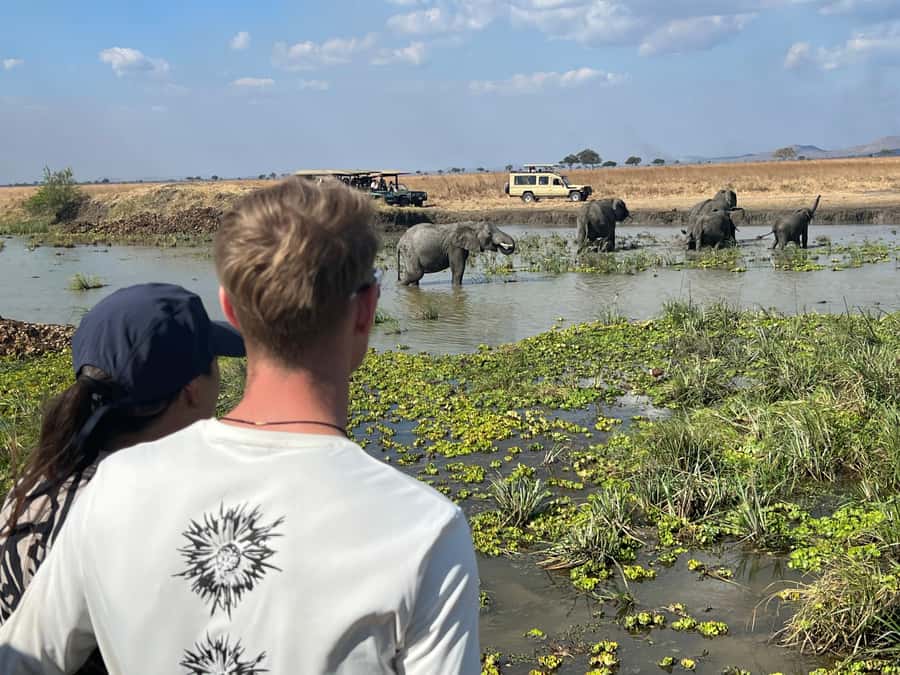3 DAYS, 2 NIGHTS SAFARI FROM ZANZIBAR TO MIKUMI BY FERRY. - Day 2 game drive: the 6:00 AM start that really changes the odds