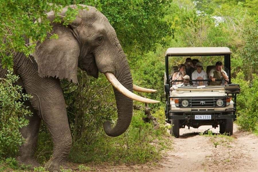 3 DAYS, 2 NIGHTS SAFARI FROM ZANZIBAR TO MIKUMI BY FERRY. - Getting there: ferry to Dar, train to Morogoro, then road to Mikumi