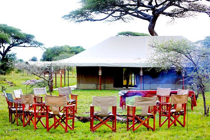 3 Days 2 Nights Serengeti, Ngorongoro & Tarangire Wildlife Lodge Safari - Lodge stays and meals: why the included food matters